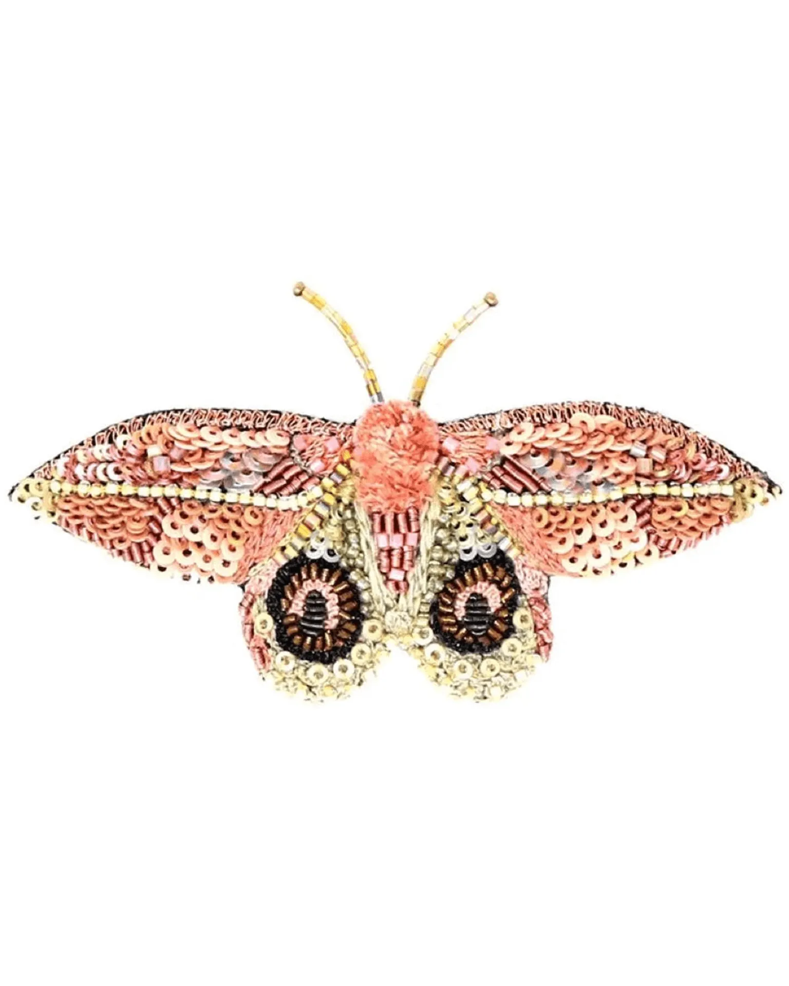 Dognin's Bullseye Moth Brooch Pin