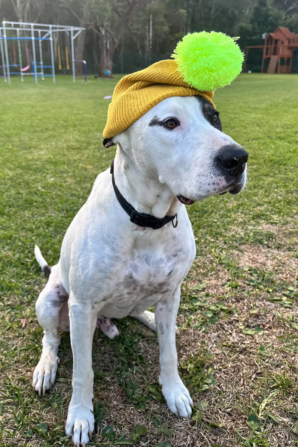 Junayd Beanie