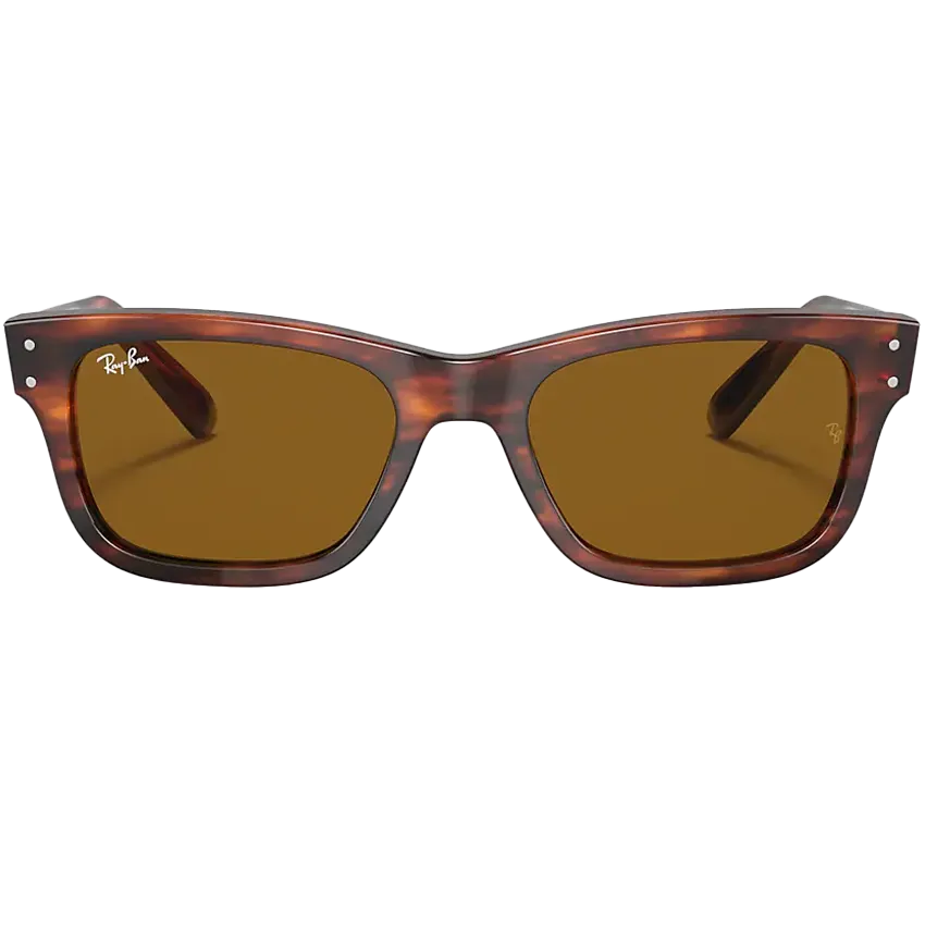 Mr. Burbank Striped Havana Tortoise/Brown