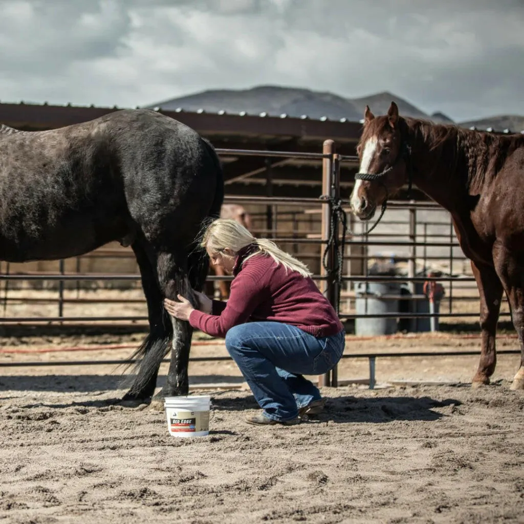 Redmond Red Edge Natural Soothing Clay Poultice For Horse (8.5 lb)