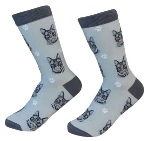 Silver Tabby Cat Socks