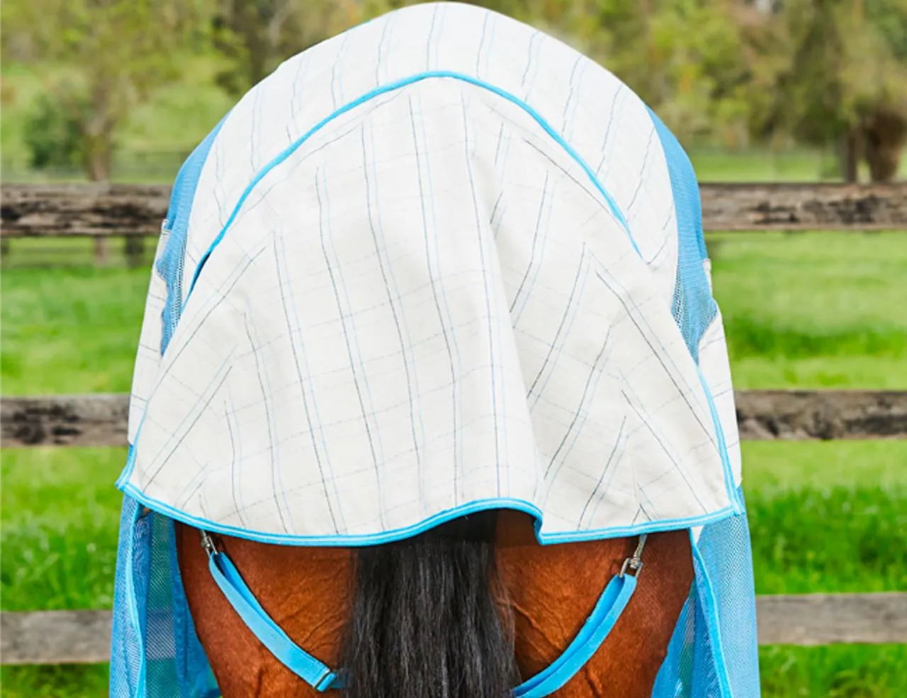 Weatherbeeta Breeze Combo Scrunch Neck II - White/Blue /Lemon