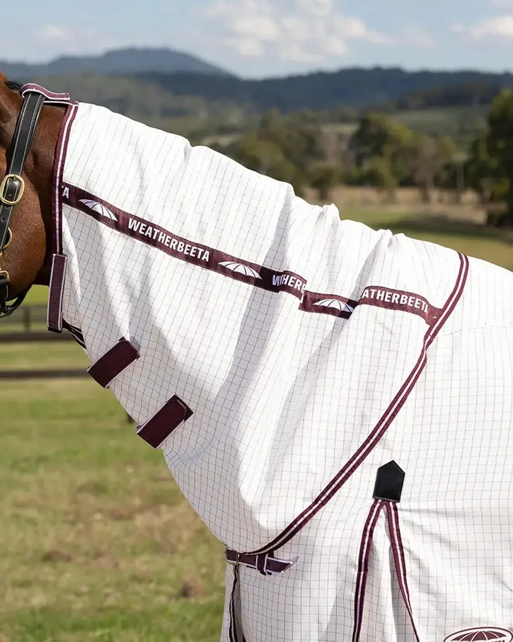 WeatherBeeta Hybrid Seasons Combo Neck
