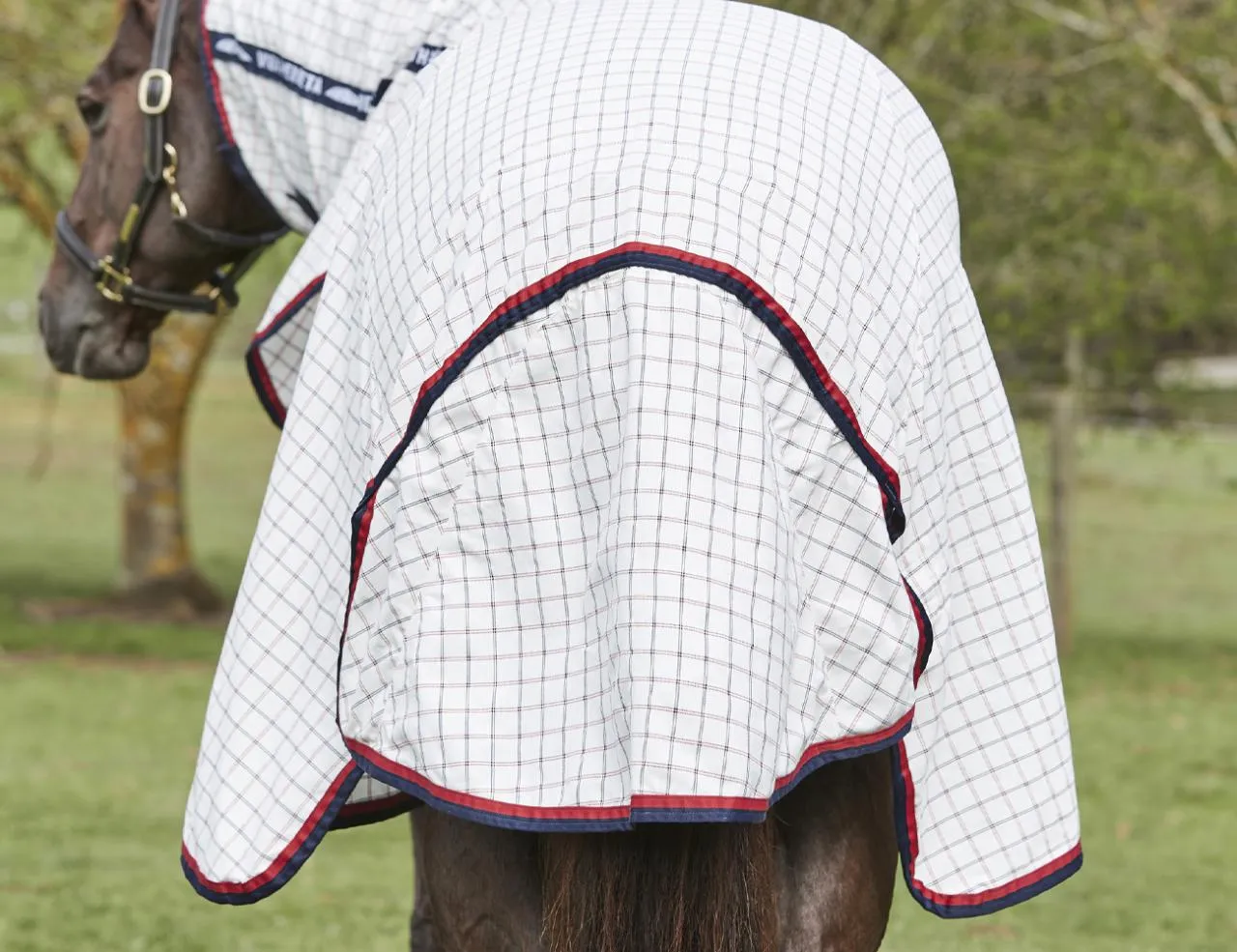 Weatherbeeta Summer Sheet Lite Detach-A-Neck