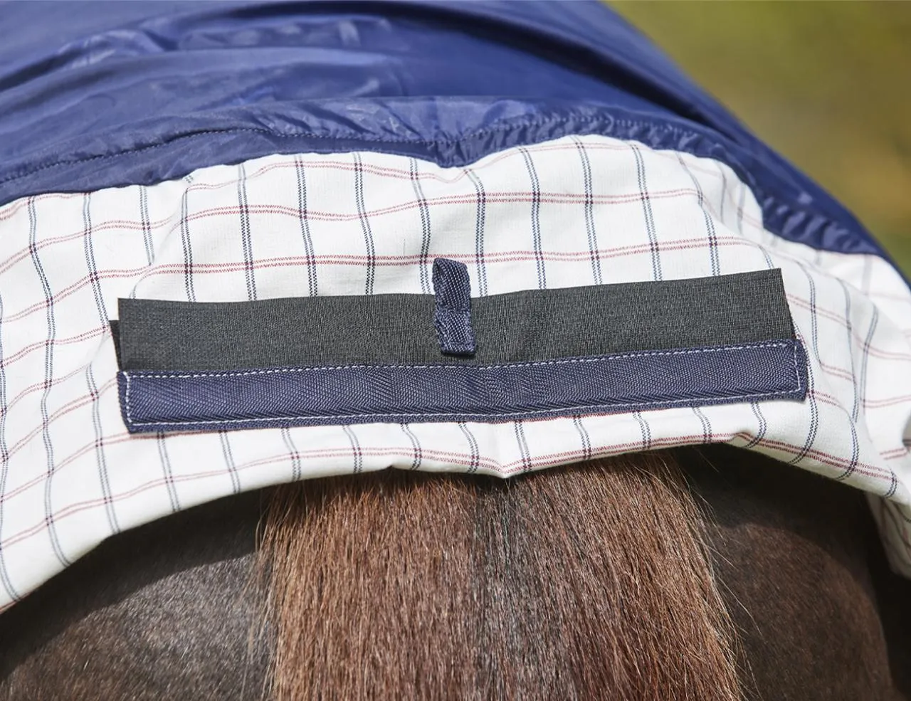 Weatherbeeta Summer Sheet Lite Detach-A-Neck