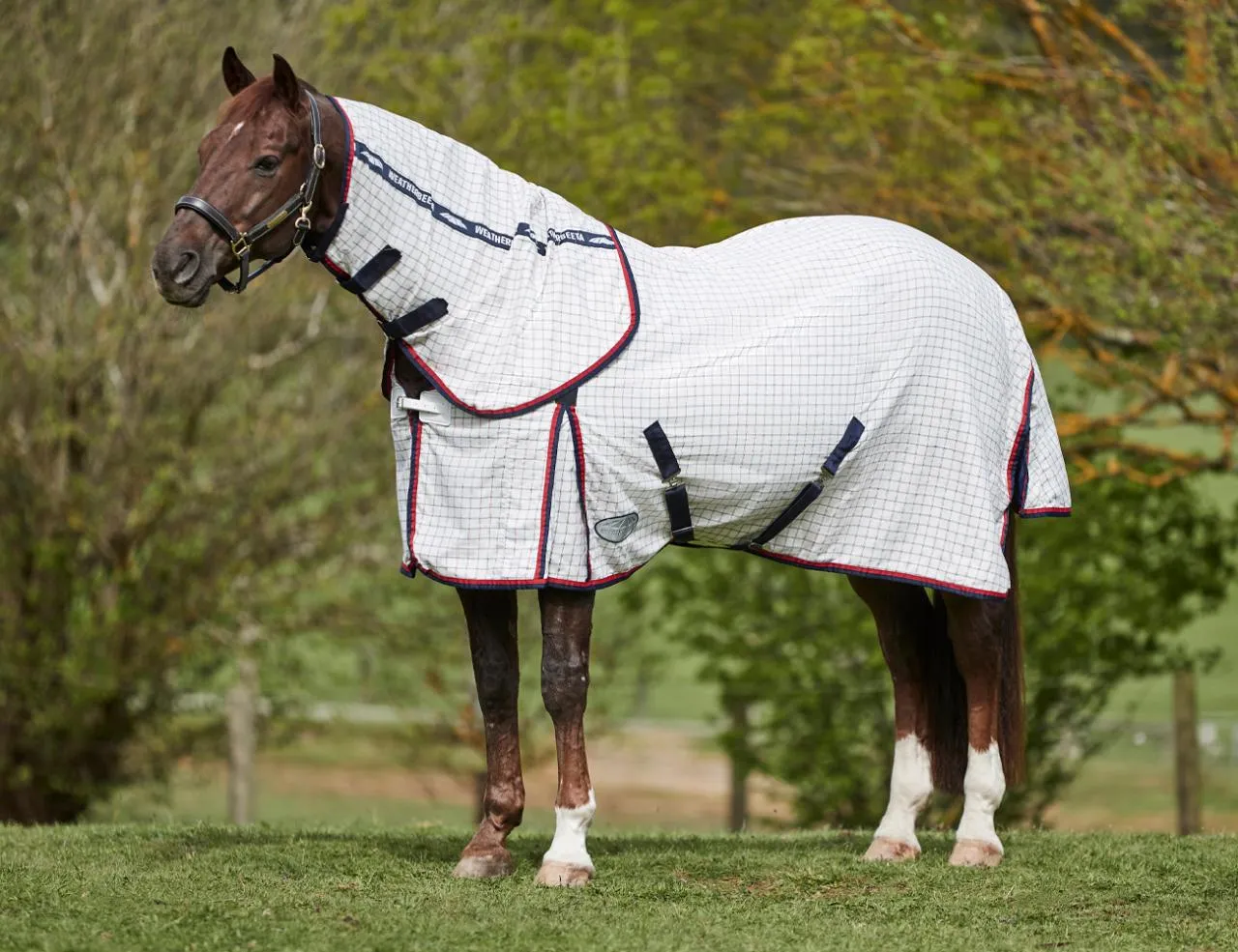 Weatherbeeta Summer Sheet Lite Detach-A-Neck