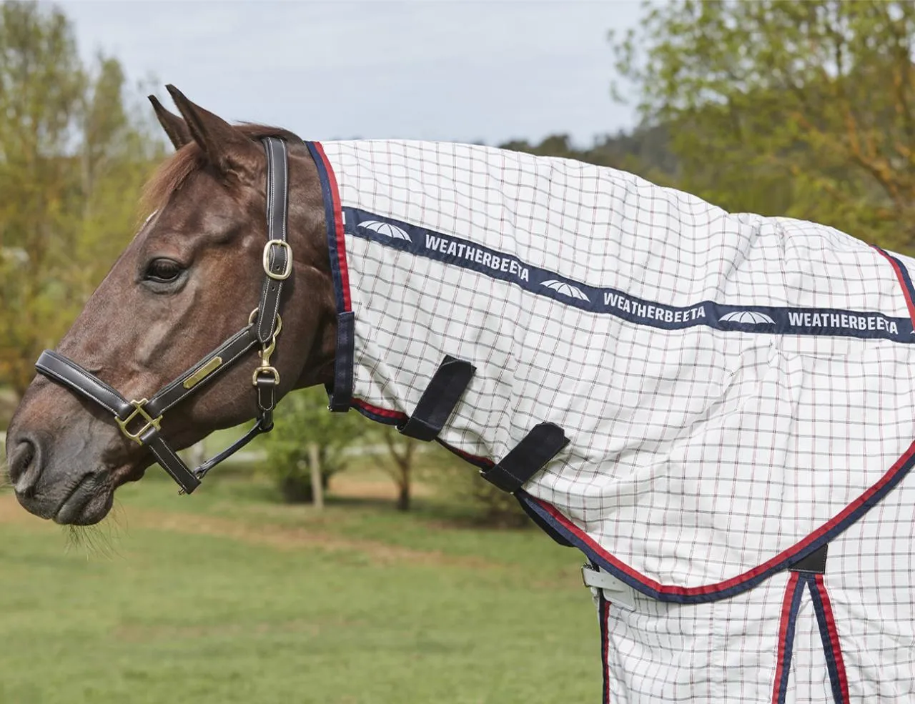 Weatherbeeta Summer Sheet Lite Detach-A-Neck